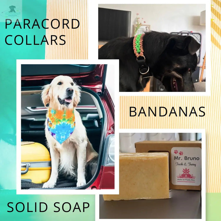 ACCESORIES AND MORE - Mr. Bruno Shop