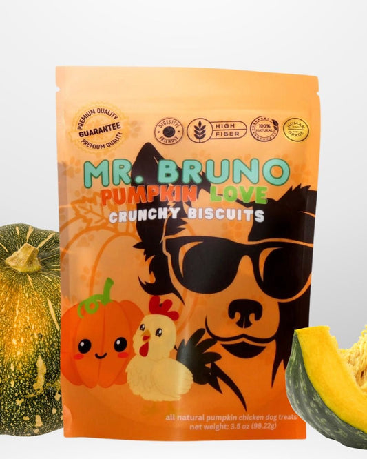 Pumpkin Love (with chicken) - Mr. Bruno Shop