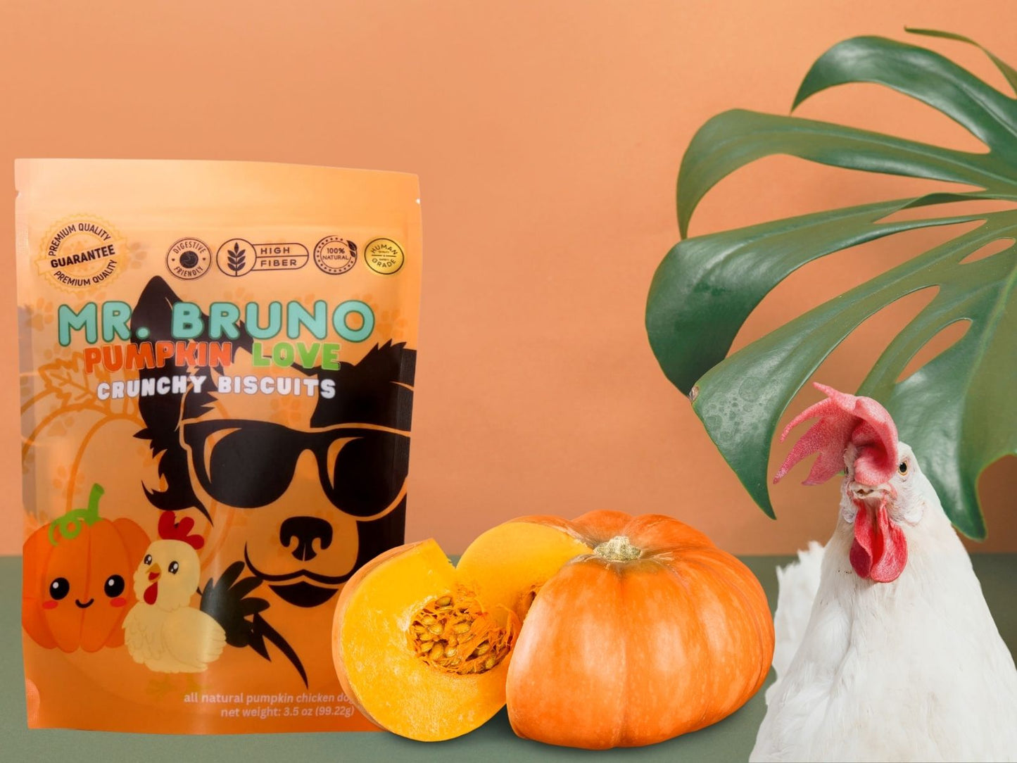 Pumpkin Love (with chicken) - Mr. Bruno Shop