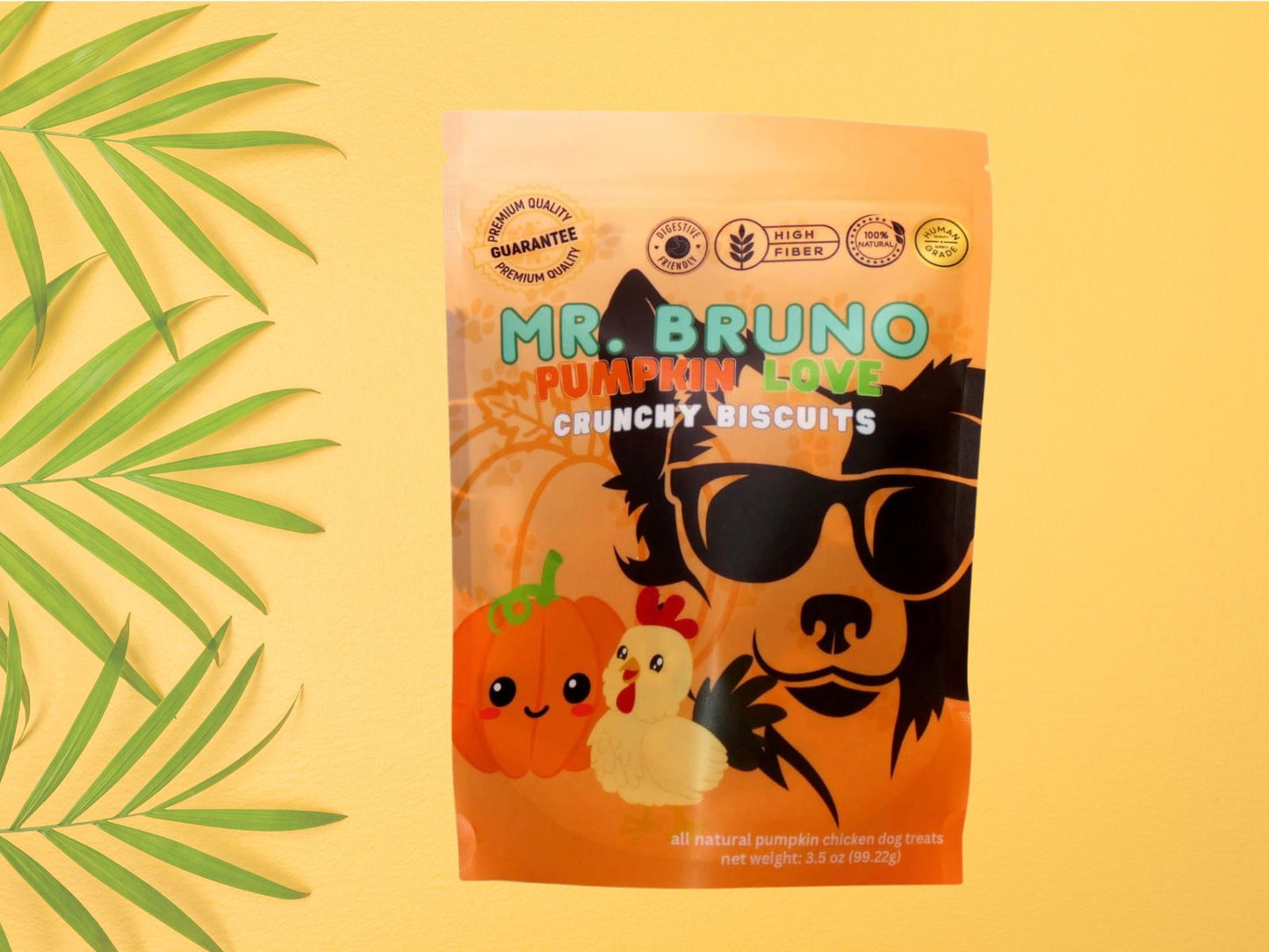 Pumpkin Love (with chicken) - Mr. Bruno Shop