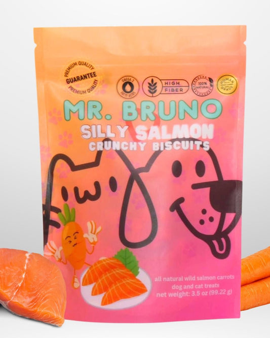 Silly Salmon - Mr. Bruno Shop