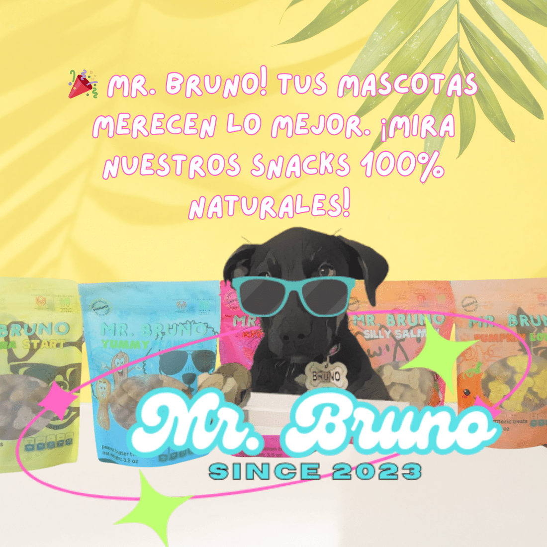 Get to Know Our Natural Snacks - Mr. Bruno Shop