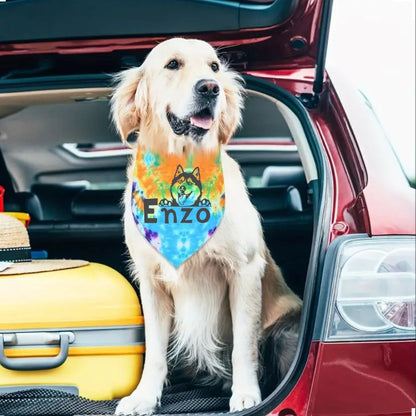 Tie-Dye Bandanas (you can personalize)