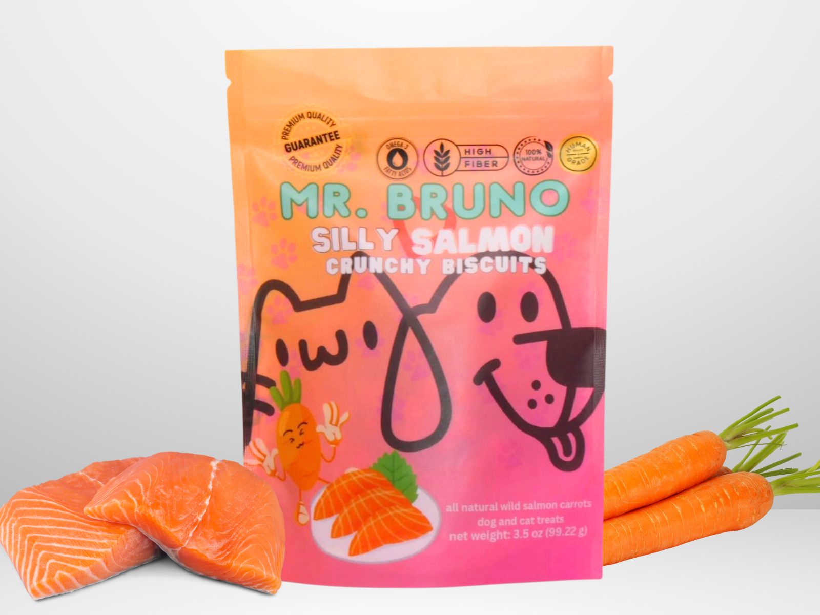 Silly Salmon Box Mr. Bruno Shop
