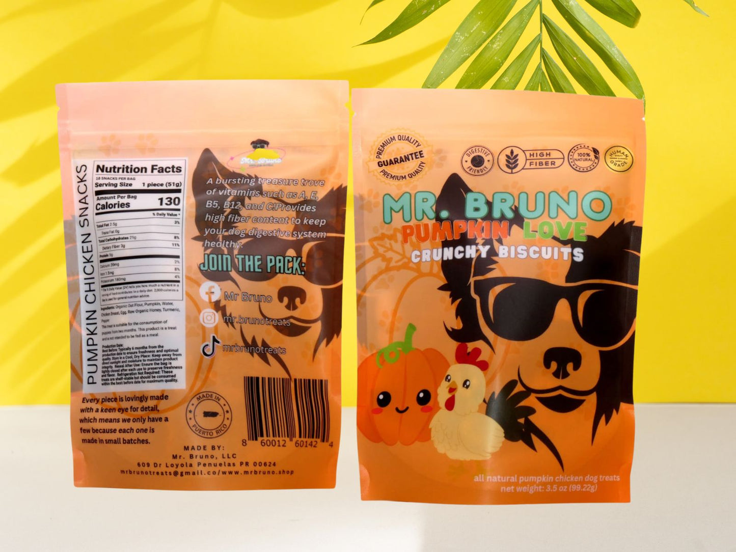 Pumpkin Love (with chicken) - Mr. Bruno Shop