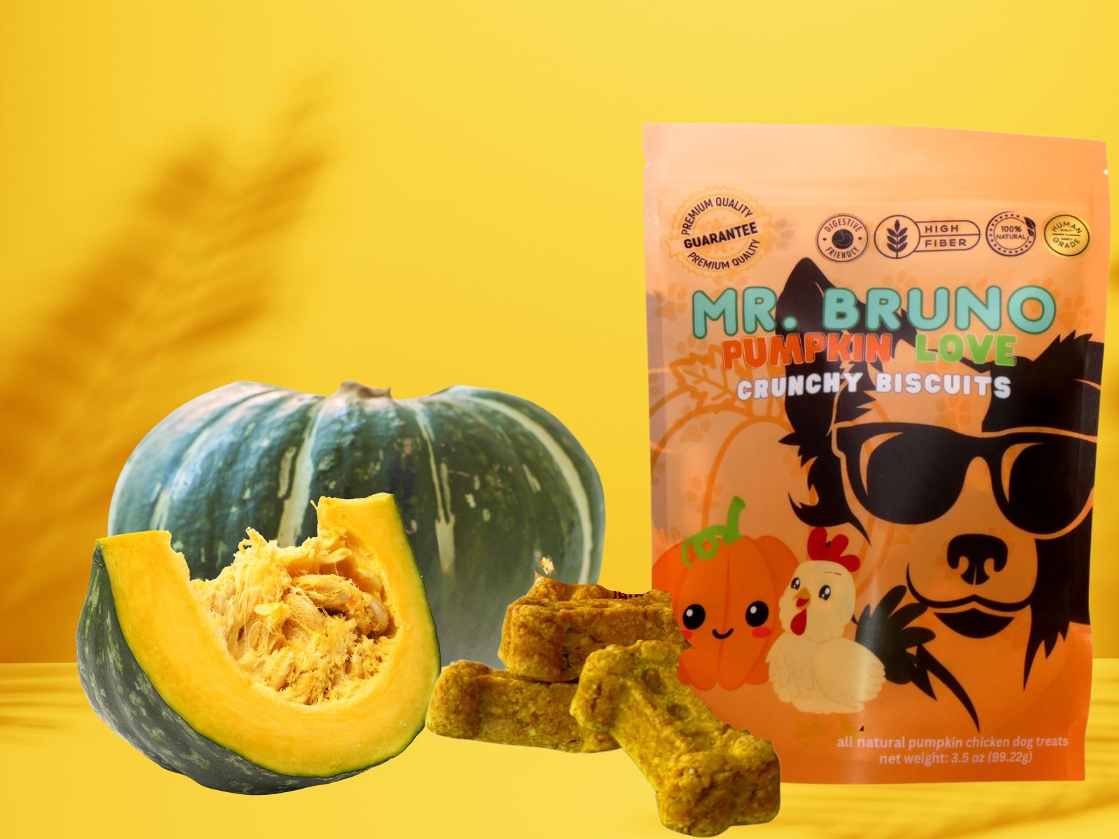 Pumpkin Love (with chicken) - Mr. Bruno Shop