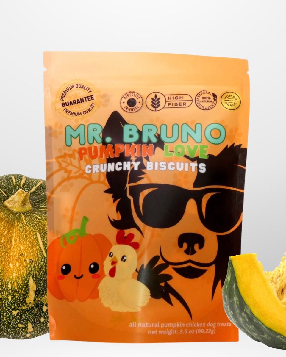 Pumpkin Love (with chicken) - Mr. Bruno Shop